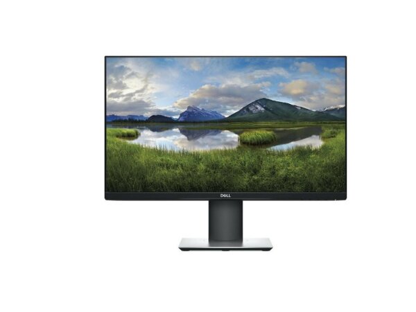 Dell P2419H - 2 Stück verfügbar